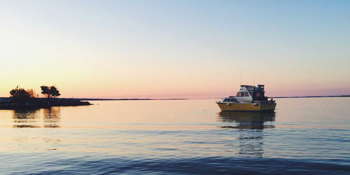 Stand Out on the Web